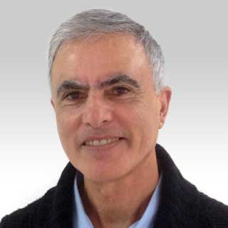 דוד מלכה